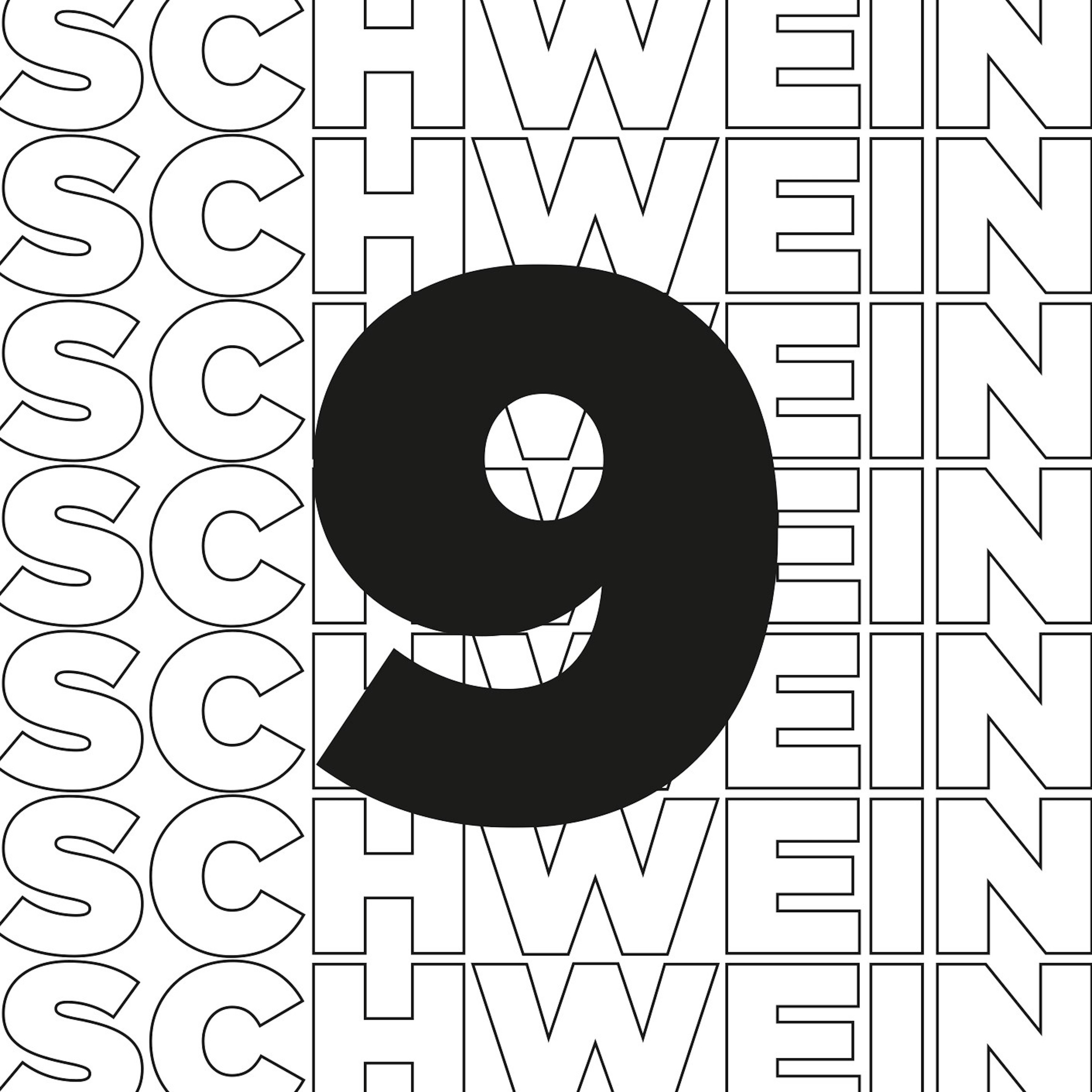 Schwein9 - Der Ulmer Baukultur-Podcast